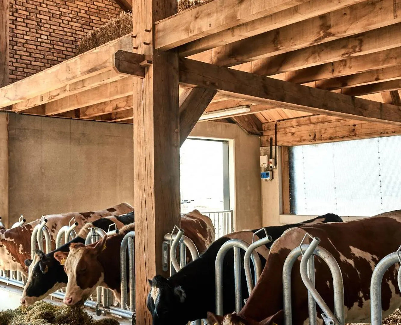 Bed & Breakfast Over-Amstel Boerderij Ouderkerk aan de Amstel